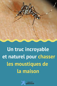 Pin On Nettoyage Entretien