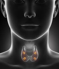Image result for hypoparathyroidism pictures