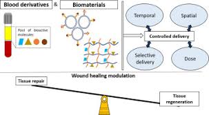 Do the quests and dailies for arrakoas in horde/alliance base. Blood Derivatives Awaken In Regenerative Medicine Strategies To Modulate Wound Healing Sciencedirect