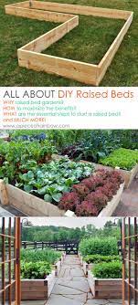 All About Diy Raised Bed Gardens Part 1 Raised Garden Raised Bed Garden Design Garden Beds