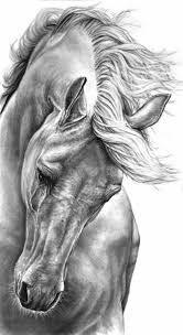 Shop the most beautiful things on earth. Art Drawings Easy Black And White Beautiful
