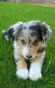 Addison Escobar (addisonescobar)