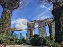 Behold, all the best things to do in singapore, from comedy and art experiences to vintage shopping and nature adventures. Singapore Cool Places To Visit Places To Visit Singapore Where To Stay