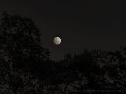 Stargazers keen to capture a rare blood supermoon tonight should allow plenty of time for may's full moon is referred to as the flower moon, while a total eclipse is known as a blood moon. Rappler Moonlight Look The Moon Tonight November Facebook