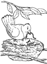 Mother Bird Feeding Her Babies With A Caterpillar In Bird Nest Coloring Pages Best Place To Color Cool Coloring Pages Bird Coloring Pages Coloring Pages