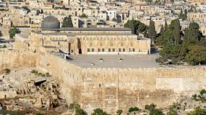 Al aqsa moschee, eine moschee auf dem tempelberg in der jerusalemer altstadt masjid e aqsa, eine moschee in pakistan al aqsa märtyrer brigaden, eine militante palästinensische organisation al aqsa intifada, einen gewaltsamen… … Petra Kelly Stiftung