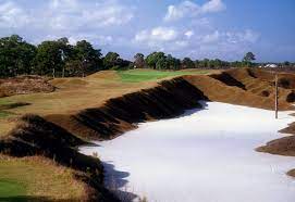 Loblolly Pines Golf Course Loblolly, a private club and community, was founded by several young couples from chicago and philadelphia their enthusiasm for the game of golf led to the opening of loblolly pines golf club. loblolly pines golf course