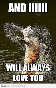 Romantic Water Tiger Animal Captions Funny Animals Funny Animal Memes