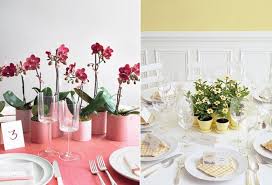 Diy Plant Wedding Favors
