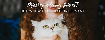 Adopt me totally free cash deutsch adopt me totally free maydy adopt me totally free code How To Get A Pet In Germany Mademoiselle In De