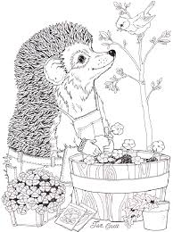 Jan Brett Coloring Pages Spring Coloring Pages Earth Day Coloring Pages Animal Coloring Pages