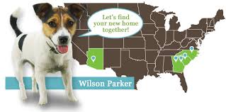 Wilson Parker Homes Rivertown Finding Yourself New Homes