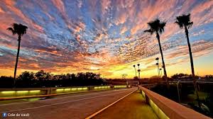 Mc oran, an algerian association football club. Lfeww9vzukxvlm