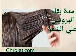 مدة بقاء البروتين علي الشعر غربيات
