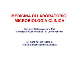Test di fissazione del complemento per la piroplasmosi (babesia equi e babesia caballi) titolo 1/5) in caso di esito positivo, occorre eseguire per conferma un test di fissazione del complemento, quale descritto nell'allegato i, parte 6, del regolamento (ue) n. Di Bonaventura Ci Med Lab Lezioni 1 2 Diagnosi Inf Ch Unich It