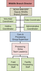 Processing Strike Team Organizational Chart Download