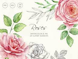Watercolor Roses Flowers Isolated Roses Png Flowers Png Etsy Watercolor Rose Linear Art Watercolor And Ink