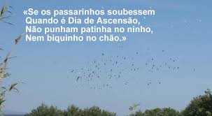 1º corrida da temporada gfaac feira de maio, 5º feira de ascenção feira taurina da ascensão chamusca, portugal. O Dia Da Espiga Que Coincide Com A Quinta Feira De Ascensao Era Ate Ha Poucas Decadas Um Dia De Comunhao Com A Natureza Reforma Agraria