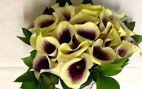 Local el paso arkansas family owned florist flower fruit delivery ar Wedding Bouquets By Flowers Fiestas In El Paso Tx Alignable