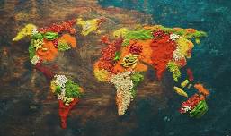 Flavors of the World Festival