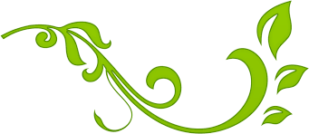 We did not find results for: Download Simple Floral Design Png Png Image With No Background Pngkey Com