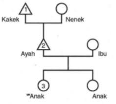 Kata mobilitas berasal dari bahasa latin mobilis yang artinya mudah dipindahkan atau banyak bergerak. Perhatikan Gambar Mobilitas Sosial Berikut Ke