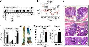 Names that start with cla. Cla Supplemented Diet Accelerates Experimental Colorectal Cancer By Inducing Tgf B Producing Macrophages And T Cells Mucosal Immunology
