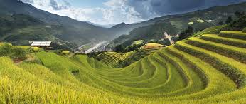 Maybe you would like to learn more about one of these? 21 Places You Must Visit In Vietnam With Photos