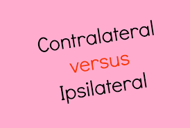 Understanding Contralateral And Ipsilateral Concept In