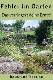Meine Fehler Im Garten Das Empfehle Ich Euch Nicht Garten Gartenarbeit Und Gemuse Anbauen