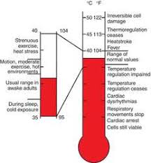 Baby Fever Baby Fever Temperature Chart Celsius