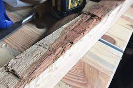 Baumtisch esstisch tisch mit baumkante 220x1akazie massiv holz ovp! Couchtischplatte Aus Eiche Mit Baumkante Selber Bauen Schritt Fur Schritt Anleitung Diybook De