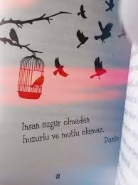 Ozgur Sozler Google Da Ara Ozlu Sozler Ozgurluk Mutlu