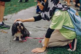 'i want to touch a dog'. Ustaz Who Gave Talk At Dog Touching Event Reponds To Criticism Coconuts Kl