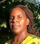 The Treeumphant vision