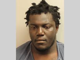 LCSO Daily Booking Report