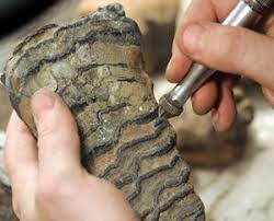 Osl dating is reliable for quartz up to 200,000 years ago, and potentially longer for feldspar. Research Shows Radiometric Dating Still Reliable Again Nist