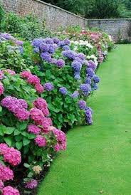 34 Easy And Low Maintenance Front Yard Landscaping Ideas 13 Aegisfilmsales Com Front Yard Landscaping Cottage Garden Design Garden Landscape Design