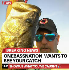 Dinger or Senko?....Go!