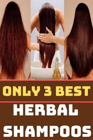 only 3 best herbal shampoos with enough reasons to use them grow hair faster grow hair slow hair growth