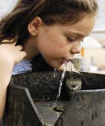 Summer2010today1-37_Layout 1