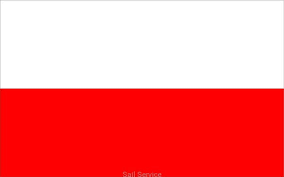 CHSP Salomon | Flaga Polski w centymetrach