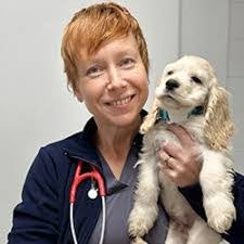 William Breitenbach's Instagram, Twitter & Facebook