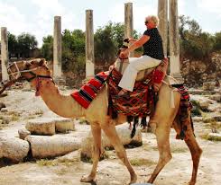 Hi im at sand grain bazaar on the stable keeper and he is not giving me a quest to get the camel im 57. How Many Humps Should A Camel Mount Have Page 2 Elder Scrolls Online