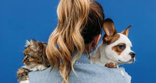 For many people, math is probably their least favorite subject in school. This What Pet Should I Get Quiz Will Pick The Best Animal For You Bechewy