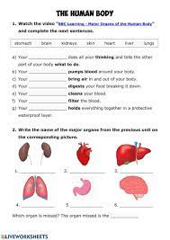 Human Body Online Activity For Grade 3 You Can Do The Exercises Online Or Download The Worksheet As Pdf In 2021 Human Body Activities Human Body Human Body Worksheets