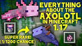 If this doesn't happen then great and i underestimated people, but there are also people who put bettas in. Minecraft 1 17 Axolotl Aquarium Enclosure Caves And Cliffs Update Youtube