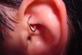 Rook Piercing Beaten To Death Axiom Body Piercing Studio
