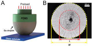 We did not find results for: Wrinkling Instability And Adhesion Of A Highly Bendable Gallium Oxide Nanofilm Encapsulating A Liquid Gallium Droplet Physical Intelligence Max Planck Institute For Intelligent Systems