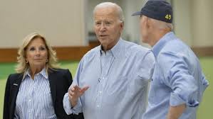 Image result for Bidens elliotii